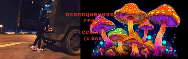 герыч Чердынь