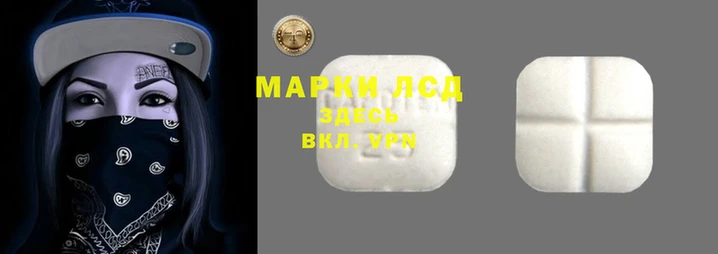 spice Дмитров