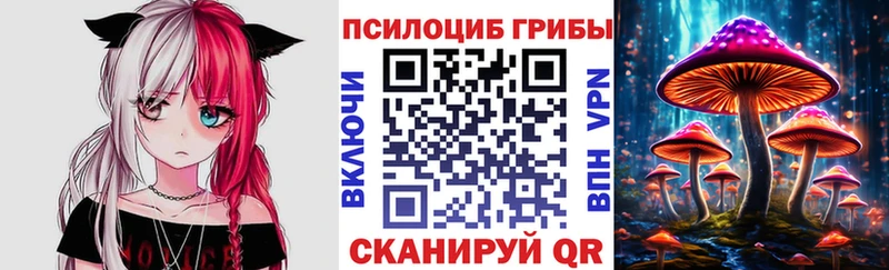 Купить закладки  Красково  Галлюциногенные грибы GOLDEN TEACHER 